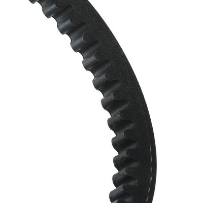 Keilriemen RIDEX 10C0031 10C0031 - foto 5