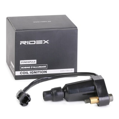 Zündspule RIDEX 689C0325 689C0325 - foto 3