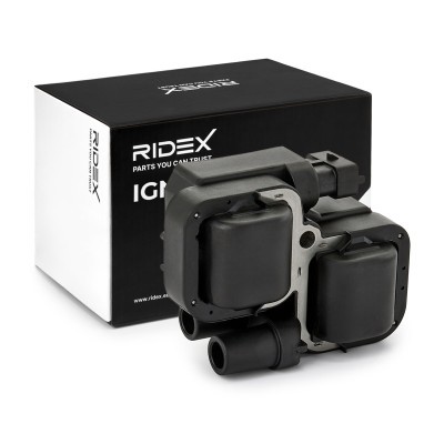 Zündspule RIDEX 689C0017 689C0017 - foto 2