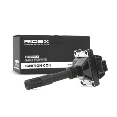 Zündspule RIDEX 689C0146 689C0146 - foto 3