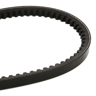 Keilriemen RIDEX 10C0031 10C0031 - foto 6