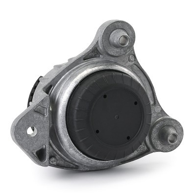 Motoraufhängung RIDEX 247E1019 247E1019 - foto 4