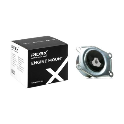 Motoraufhängung RIDEX 247E0272 247E0272 - foto 2