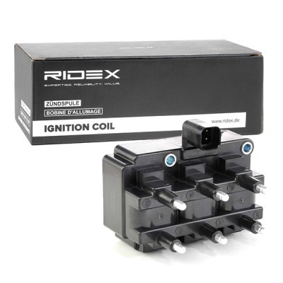 Zündspule RIDEX 689C0201 689C0201 - foto 2