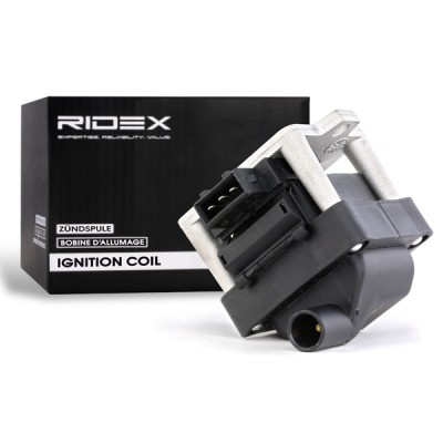 Zündspule RIDEX 689C0013 689C0013 - foto 2