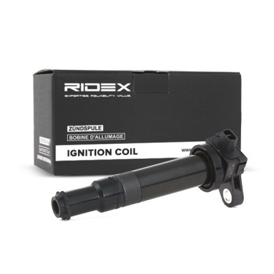 Zündspule RIDEX 689C0134 689C0134 - foto 3