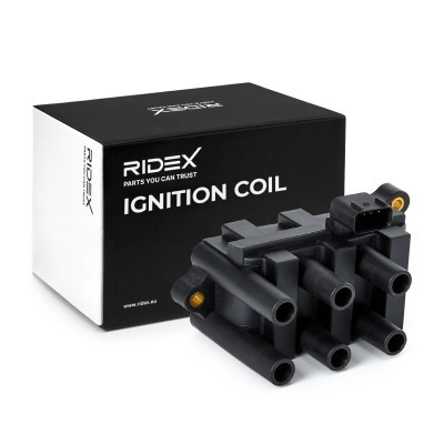 Zündspule RIDEX 689C0079 689C0079 - foto 2