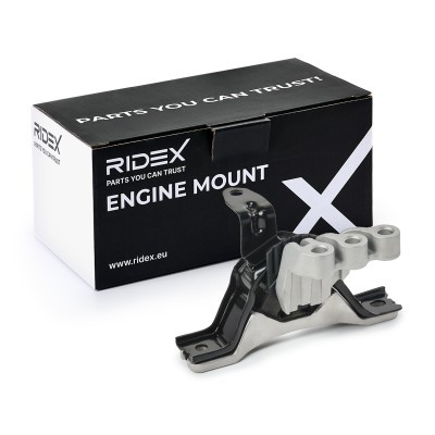 Motoraufhängung RIDEX 247E1028 247E1028 - foto 2