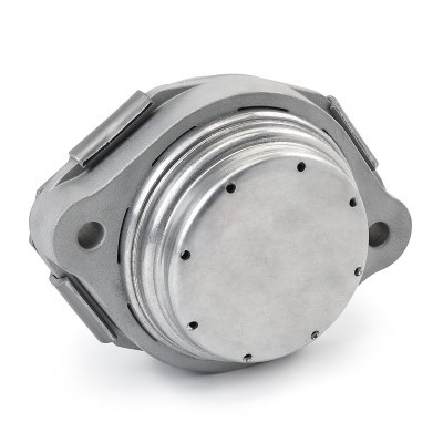 Motoraufhängung RIDEX 247E0437 247E0437 - foto 4