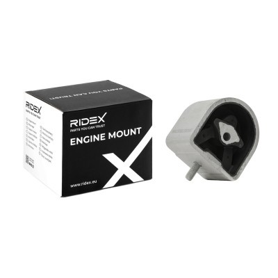 Motoraufhängung RIDEX 247E0055 247E0055 - foto 2