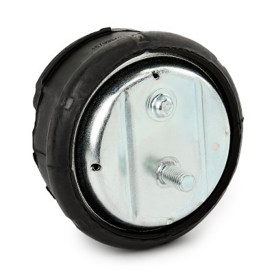 Motoraufhängung RIDEX 247E0043 247E0043 - foto 3