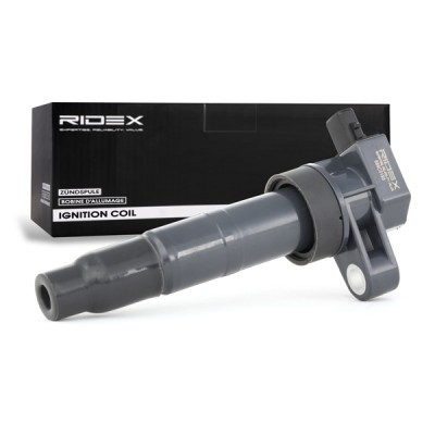 Zündspule RIDEX 689C0193 689C0193 - foto 3