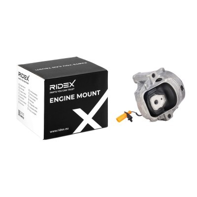 Motoraufhängung RIDEX 247E0231 247E0231 - foto 2