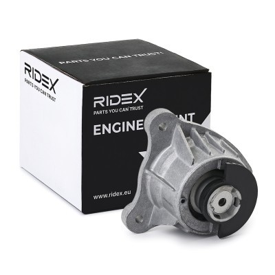 Motoraufhängung RIDEX 247E1024 247E1024 - foto 2
