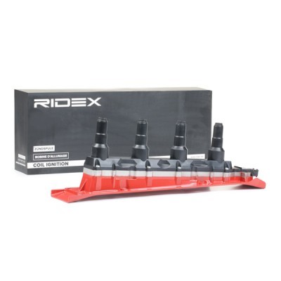 Zündspule RIDEX 689C0102 689C0102 - foto 2