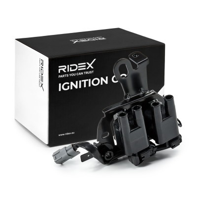 Zündspule RIDEX 689C0132 689C0132 - foto 2