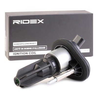 Zündspule RIDEX 689C0349 689C0349 - foto 2