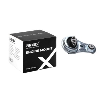 Motoraufhängung RIDEX 247E0894 247E0894 - foto 2