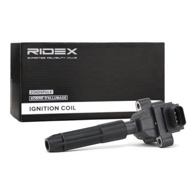 Zündspule RIDEX 689C0227 689C0227 - foto 3