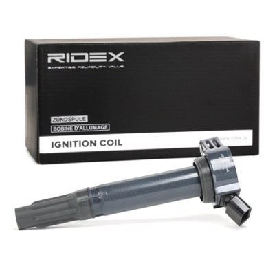 Zündspule RIDEX 689C0166 689C0166 - foto 3
