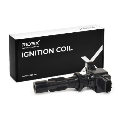 Zündspule RIDEX 689C0130 689C0130 - foto 2