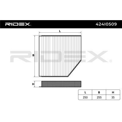 Filter, Innenraumluft RIDEX 424I0509 424I0509 - foto 6