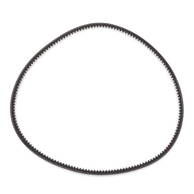 Keilriemen RIDEX 10C0043P 10C0043P - foto 4