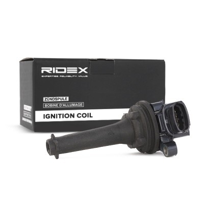 Zündspule RIDEX 689C0004 689C0004 - foto 3