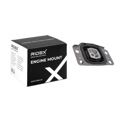 Motoraufhängung RIDEX 247E0598 247E0598 - foto 2