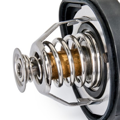 Thermostat, Kühlmittel RIDEX 316T0076 316T0076 - foto 6