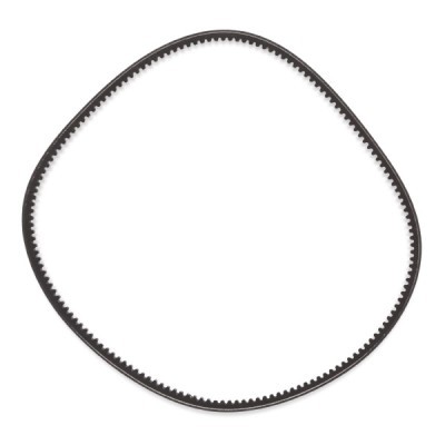 Keilriemen RIDEX 10C0028P 10C0028P - foto 4