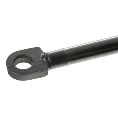 Gasfeder RIDEX 1207G0002 1207G0002 - foto 5