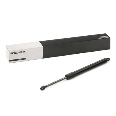 Gasfeder RIDEX 1207G0002 1207G0002 - foto 2