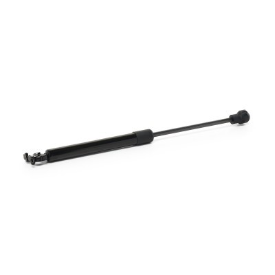 Gasfeder RIDEX 1207G0006 1207G0006 - foto 3