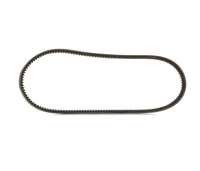 Keilriemen RIDEX 10C0036P 10C0036P - foto 1