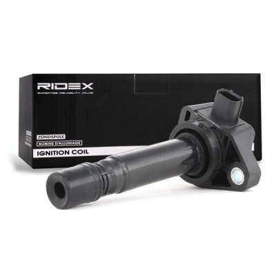 Zündspule RIDEX 689C0189 689C0189 - foto 3