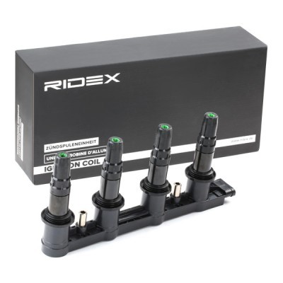 Zündspule RIDEX 689C0310 689C0310 - foto 3