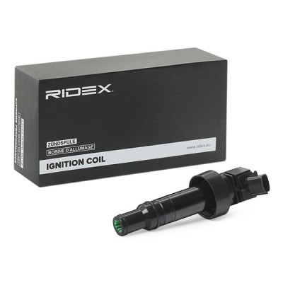 Zündspule RIDEX 689C0344 689C0344 - foto 2