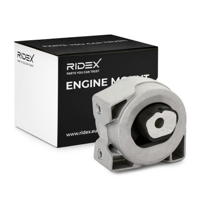 Motoraufhängung RIDEX 247E1256 247E1256 - foto 2