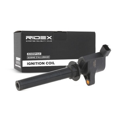 Zündspule RIDEX 689C0072 689C0072 - foto 3
