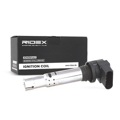 Zündspule RIDEX 689C0003 689C0003 - foto 3