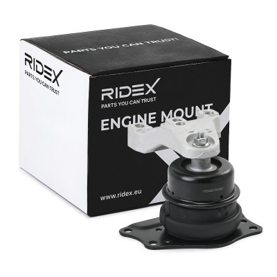 Motoraufhängung RIDEX 247E0820 247E0820 - foto 2