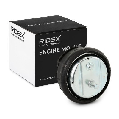 Motoraufhängung RIDEX 247E0043 247E0043 - foto 2