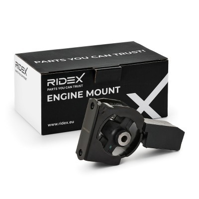 Motoraufhängung RIDEX 247E1071 247E1071 - foto 2