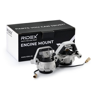 Motoraufhängung RIDEX 247E0584 247E0584 - foto 2