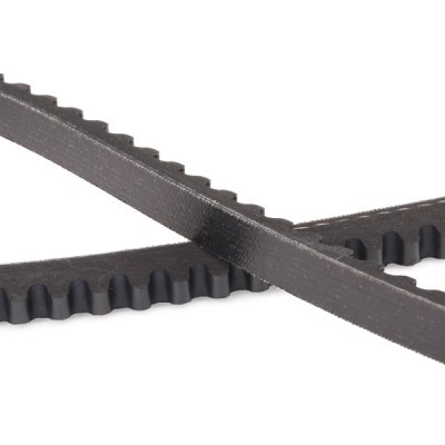 Keilriemen RIDEX 10C0117P 10C0117P - foto 5