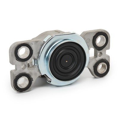 Motoraufhängung RIDEX 247E0456 247E0456 - foto 4