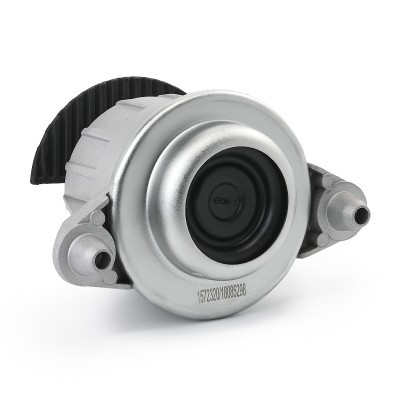 Motoraufhängung RIDEX 247E0868 247E0868 - foto 4