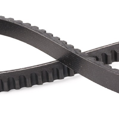 Keilriemen RIDEX 10C0082P 10C0082P - foto 5