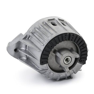 Motoraufhängung RIDEX 247E0606 247E0606 - foto 3